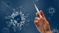 Vacunas de ARNm para COVID deberían etiquetarse como terapia génica, según artículo revisado por expertos
