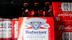 No solo Bud Light, las otras cervezas de Anheuser-Busch también están sufriendo