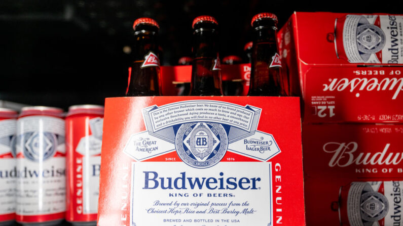 Cerveza Budweiser en la sección de cervecería en una tienda de comestibles H-E-B, el 2 de marzo de 2023, en Austin, Texas. AB InBev, la cervecera más grande del mundo, reportó una caída en el volumen del cuarto trimestre ya que sus acciones cayeron hasta un 4.5 por ciento esta semana. (Brandon Bell/Getty Images)