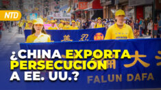 NTD Día [20 Julio] ONG: China exporta represión en EE. UU. y NYC pide a inmigrantes salir de albergues