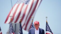 Trump está «en una posición mucho más dominante» que en 2016, dice exestratega de campaña presidencial