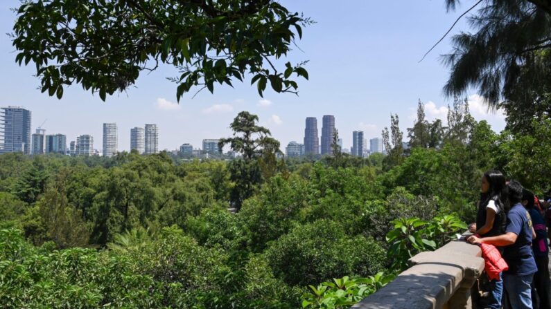 La gente disfruta del paisaje en el Parque de Chapultepec, en Ciudad de México, el 14 de agosto de 2019. (Rodrigo Arangua/AFP vía Getty Images)