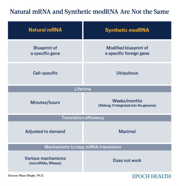 El ARNm natural y el ARNmod sintético no son lo mismo. (The Epoch Times)
