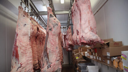 Empresa de carne de res «Clean Beef» dice que preferiría cerrar a aceptar vacuna de ARNm en ganado