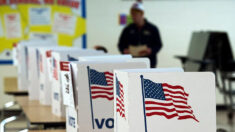 Ley del GOP penalizaría a estados que permitan votos de no ciudadanos en elecciones estatales y locales