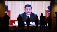 Rusia y China deberían liderar la “reforma de la gobernanza global”, dice Xi