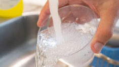 USGS: Hay al menos un 45% de “sustancias químicas permanentes” en el agua de grifo de EE.UU.