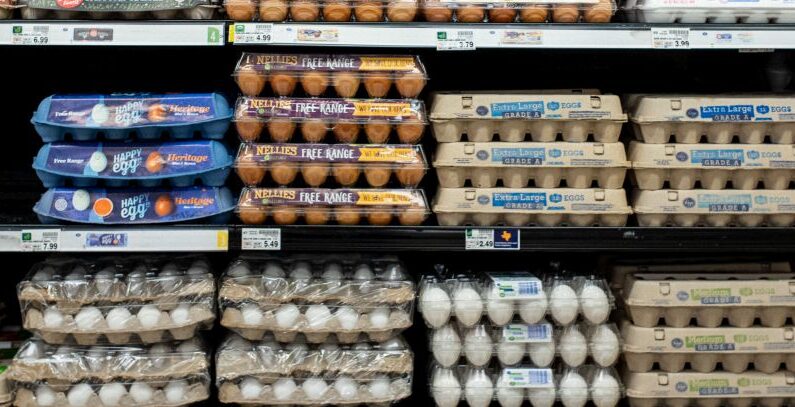 En esta foto de archivo se ven cartones de huevos a la venta en una tienda. (Brandon Bell/Getty Images)