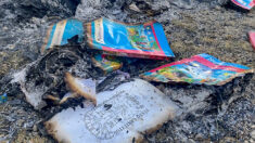 Comunidad de Chiapas quema polémicos libros escolares entregados por el gobierno: «Son del diablo»