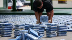 Autoridades colombianas incautan 63 kilos de cocaína dentro de piñas con destino España