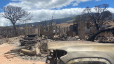 Acusan a compañías eléctricas de ignorar advertencias antes de incendios forestales en Maui