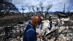 Gobernador: Número de muertos por el incendio de Maui podría duplicarse o incluso triplicarse