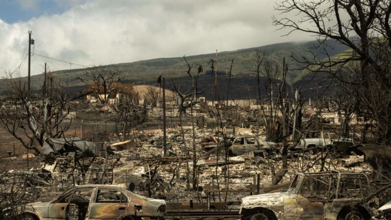 Carcasses of cars are seen among the ashes of burnt neighborhood in the aftermath of a wildfire, in Lahaina, western Maui, Hawaii on August 14, 2023. The death toll in Hawaii's wildfires rose to 99 and could double over the next 10 days, the state's governor said August 14, as emergency personnel painstakingly scoured the incinerated landscape for more human remains.
Last week's inferno on the island of Maui is already the deadliest US wildfire in a century, with only a quarter of the ruins of the devastated town of Lahaina searched for victims so far. (Photo by Yuki IWAMURA / AFP) (Photo by YUKI IWAMURA/AFP via Getty Images)