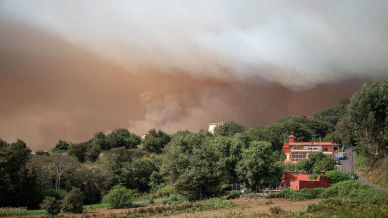 Columnas de humo, fotografiadas desde el pueblo de Nuestra Señora del Rosario, el 17 de agosto de 2023, procedentes de un enorme incendio forestal que se declaró hace casi dos días y está causando estragos en la parte noreste de la isla canaria de Tenerife (España). (Desiree Martin/AFP vía Getty Images)