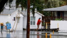El huracán Idalia deja en Florida pérdidas agrícolas de más de 78 millones de dólares