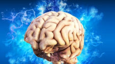 La deficiencia de vitamina B12 afecta a la salud del cerebro