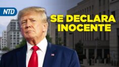 NTD Noche [3 agosto] Trump se declara inocente en DC; Newsom y DeSantis debatirán