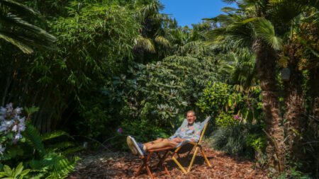 Papá de 3 hijos pasa 35 años cuidando su jardín trasero estilo “jungla”: “Una atmósfera muy tropical”