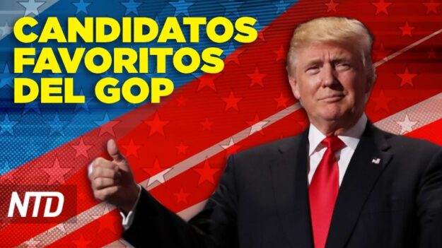 ¿Qué otros precandidatos republicanos podrían repuntar después de Trump?