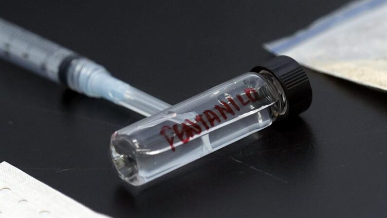 Científicos de la Dirección de Antinárcoticos de Colombia analizan el opioide sintético fentanilo en su laboratorio químico de investigación, el 2 de agosto de 2023, en Bogotá (Colombia). (EFE/ Mauricio Dueñas Castañeda)