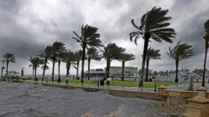 Meteorólogos de EE.UU. prevén la formación de una depresión en el Atlántico