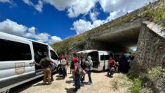 Agentes halla a 125 migrantes centroamericanos en carretera de estado mexicano de Oaxaca
