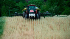 EN DETALLE: Cuestionan que cultivos OMG sean la “solución milagrosa” de la agricultura a cambio climático