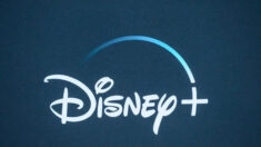 Disney+ sube los precios a pesar de perder 300,000 suscriptores nacionales