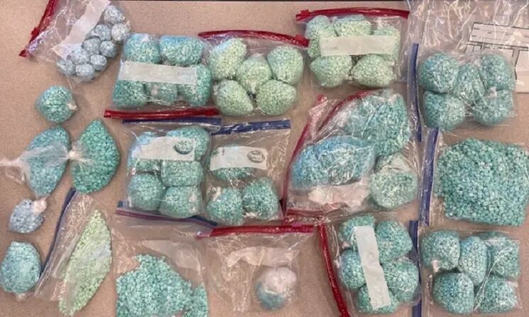 Foto de archivo de bolsas que contenían aproximadamente 58,000 pastillas de fentanilo, el 25 de julio en Multnomah, Oregón. (Cortesía de la Oficina del Sheriff del Condado de Multnomah)