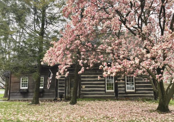 La histórica casa de troncos de 1700 de los Simpson en Nazareth, Pensilvania. (Cortesía de Ronnie Simpson)