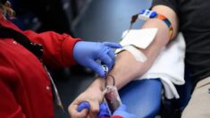 La Cruz Roja empieza a aplicar las nuevas directrices de la FDA para donaciones de sangre