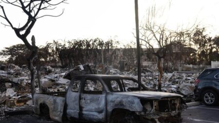 Biden y la primera dama visitarán Maui el 21 de agosto y se reunirán con sobrevivientes de los incendios