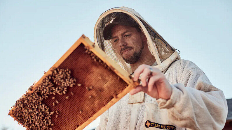 Blake Shook, fundador de Los Suministros de la Abeja, trabaja con sus abejas. (The Bee Supply)