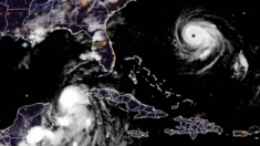 Huracán Idalia se fortalece y avanza hacia Florida y los estados de la costa este