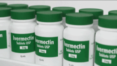 Uso más intensivo de ivermectina redujo un 74% el exceso de muertes en Perú, dice nuevo estudio