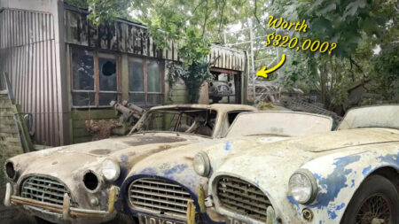 Colección de autos clásicos encontrados en un granero tras 40 años, ronda los 320.000 dólares