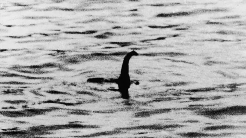 Una vista de lo que supuestamente es el monstruo del Lago Ness, cerca de Inverness, Escocia, el 19 de abril de 1934. (Keystone/Getty Images)