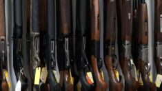 Proyecto de representante demócrata impondría impuesto del 1000% a “armas de asalto” y cargadores