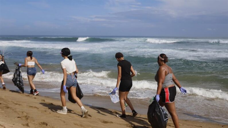 Personas recolectan basuras en una playa el 16 de septiembre de 2023, durante el día mundial de la limpieza, en San juan (Puerto Rico). EFE/ Thais Llorca
Personas recolectan basuras en una playa el 16 de septiembre de 2023, durante el día mundial de la limpieza, en San juan (Puerto Rico). EFE/ Thais Llorca
