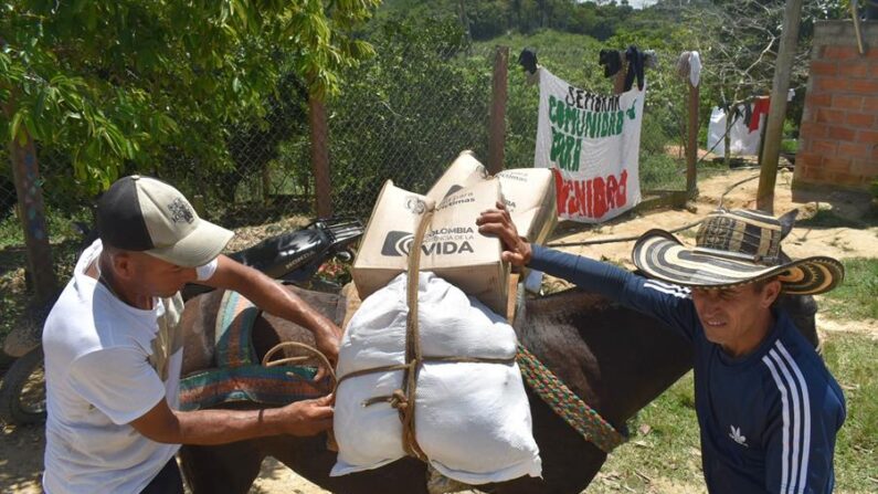Fotografía sin fecha cedida el 4 de septiembre de 2023 por la Unidad de Víctimas que muestra a dos personas transportando cajas con ayuda alimentaria que hacen parte de los kits entregados a los habitantes de la vereda Rancho Quemado, a cuatro horas de Segovia (Colombia). EFE/ Unidad de Víctimas
