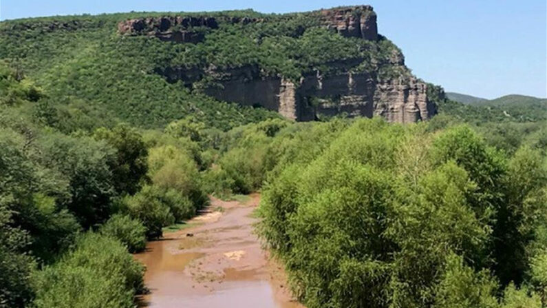 Fotografía del 3 de julio de 2019 muestra una vista general del río Sonora, en el estado homónimo de México. EFE/Daniel Sánchez Dorame