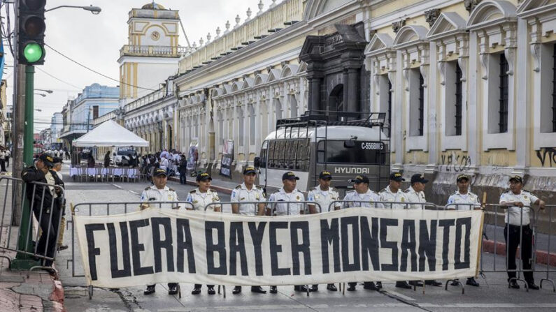 Policías vigilan este 13 de septiembre de 2023 mientras campesinos e indígenas protestan contra la “Ley Monsanto”, frente a la sede del Congreso en Ciudad de Guatemala (Guatemala). EFE/ Esteban Biba