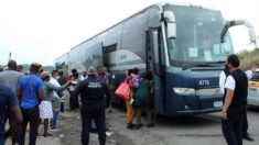 Autoridades mexicanas interceptan a 257 migrantes que viajaban en dos autobuses
