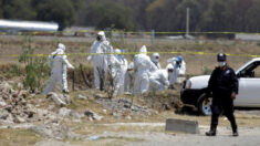 Aumenta a 18 número de cuerpos embalados y congelados encontrados en Veracruz