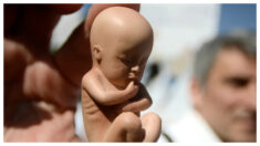 “Nunca será igual”: Consejera dice que trauma del aborto deja a las mujeres destrozadas