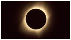 Sobrecogedor eclipse solar “Anillo de fuego” cruzará EE.UU. en su gira por América: lo que debe saber