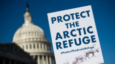 Gobierno de Biden cancela 7 contratos de petróleo y gas de la era Trump en región ártica de Alaska