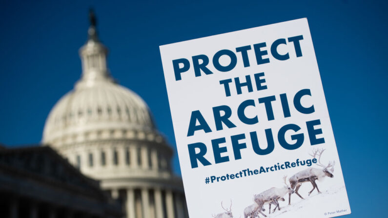 Un manifestante sostiene un cartel contra la perforación en el Refugio Ártico en el 58 aniversario del Refugio Nacional de Vida Silvestre del Ártico, durante una conferencia de prensa frente al Capitolio de los Estados Unidos en Washington el 11 de diciembre de 2018. (Saul Loeb AFP vía Getty Images)