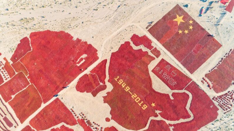 Esta foto aérea tomada el 23 de septiembre de 2019 muestra la imagen de un mapa chino y una bandera nacional formada por chiles secos durante la temporada de cosecha en Zhangye, en la provincia noroccidental china de Gansu, con motivo de los 70 años de la fundación de la República Popular China. (STR/AFP vía Getty Images)