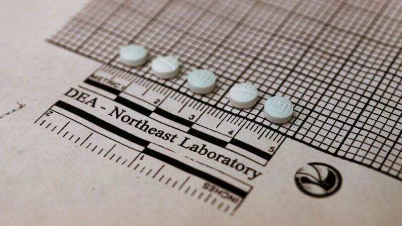 Se colocan comprimidos sospechosos de ser fentanilo en un gráfico para medir su tamaño en el Laboratorio Regional del Noreste de la Administración para el Control de Drogas el 8 de octubre de 2019 en Nueva York. ( DON EMMERT/AFP vía Getty Images)